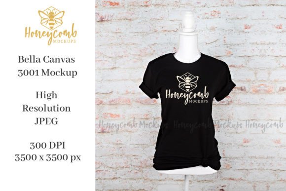 3001 Bella Canvas Mockup: Graphics for T-Shirts